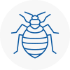 Bed Bug Extermination In Blackheath West Midlands
